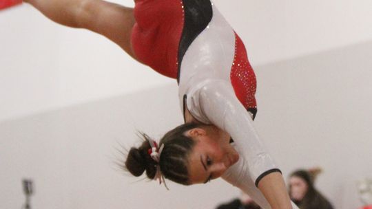 B-H GYMNASTS OFF TO STATE