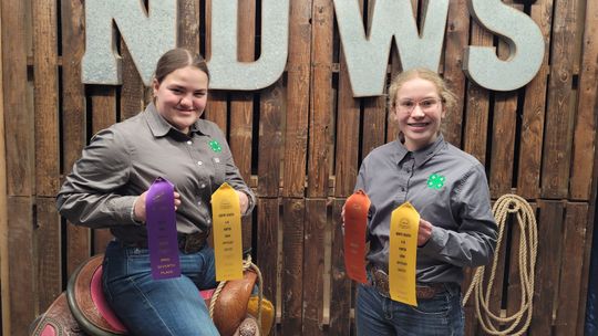 HIPPOLOGY TEAMS ON THE ROAD