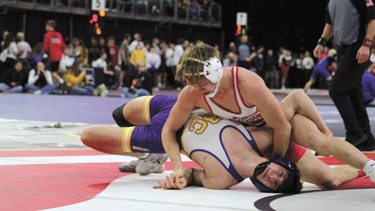 THREE BRAVES' MATMEN STATE PLACERS