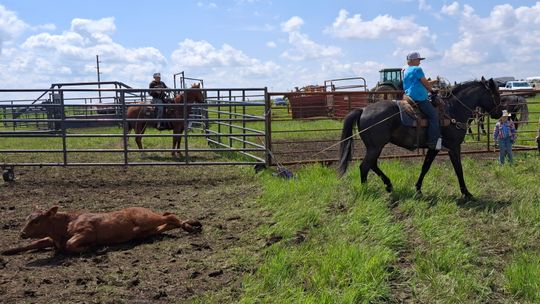 WHERE THE SADDLE STILL MATTERS