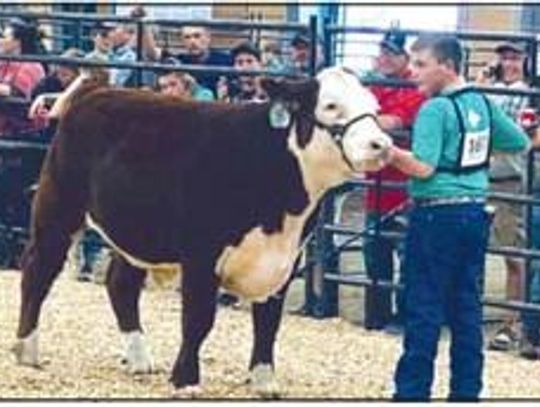 4-Hers Do Well At State Fair