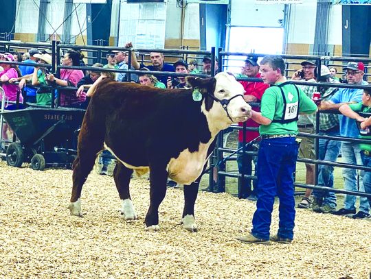 4-HERS DO WELL AT STATE FAIR