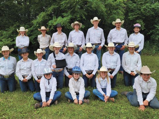 4-Hers Take Part in Horse Show