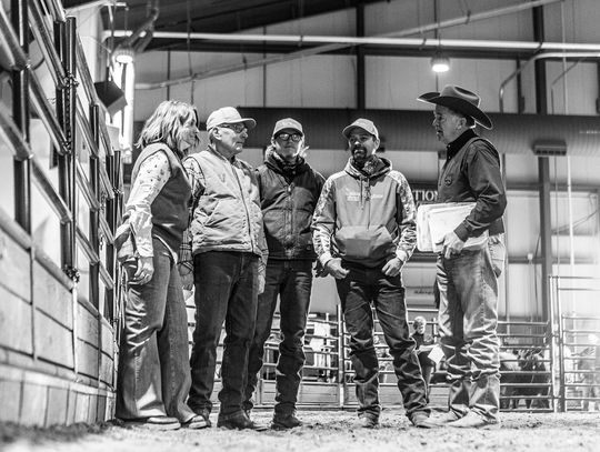 50 YEARS IN THE STOCK SHOW PEN