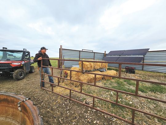 CALVING GOES HIGH TECH