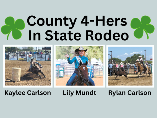 COUNTY 4-HERS IN STATE RODEO