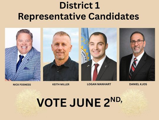 FOUR IN REPUBLICAN PRIMARY FOR D1 HOUSE