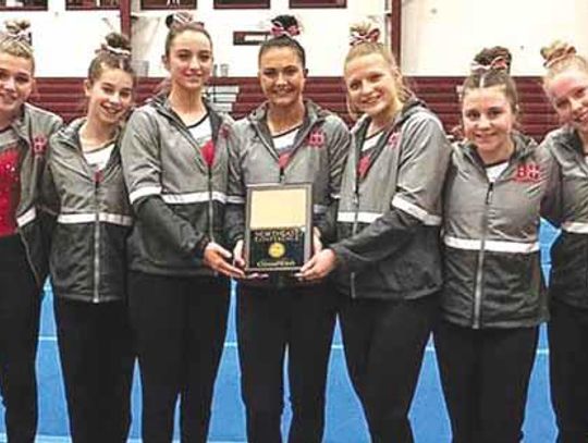 Gymnasts Claim NEC Crown