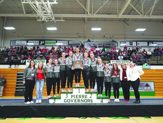 Gymnasts Fourth At State