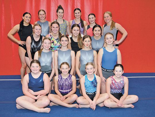 GYMNASTS HOST REGION