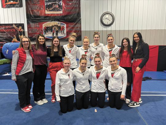 GYMNASTS STATE-BOUND