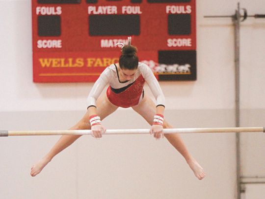 GYMNASTS TOP AA TEAMS