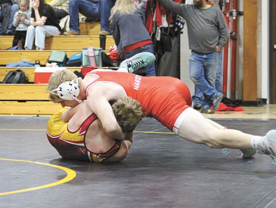 HARDY CLAIMS 190-POUND TITLE