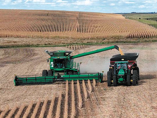 HARVEST BRINGS HIGHS AND LOWS HARVEST BRINGS HIGHS AND LOWS