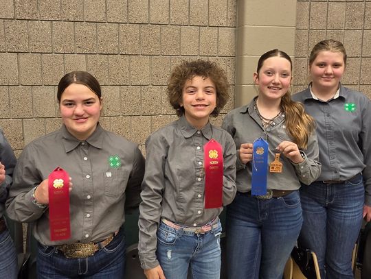 HIPPOLOGY TEAM KEEPS TROTTING TO SUCCESS