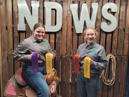 HIPPOLOGY TEAMS ON THE ROAD