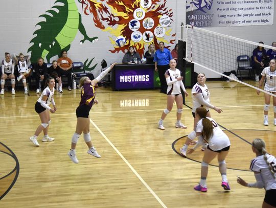 LA NET SQUAD GETS TWO WINS IN THREE MATCHES