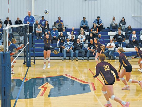 LA VOLLEYBALL TEAM HAS 'PROMISE FOR FUTURE'