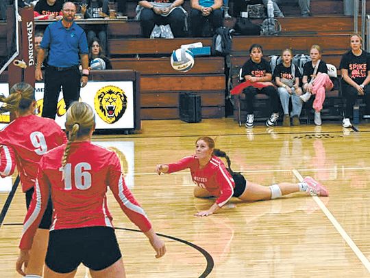 LADY LIONS BATTLE-TESTED