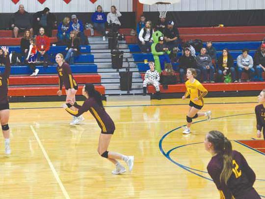 Lady Lions Fall In Region