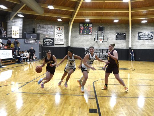 LADY LIONS PUT END TO THREE-GAME SKID