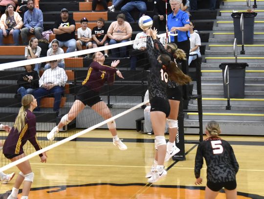 LADY LIONS SPLIT PAIR OF MATCHES IN PAST WEEK