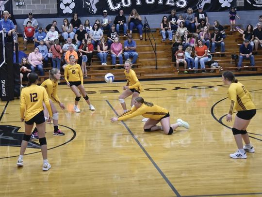 LADY LIONS WIN OPENER