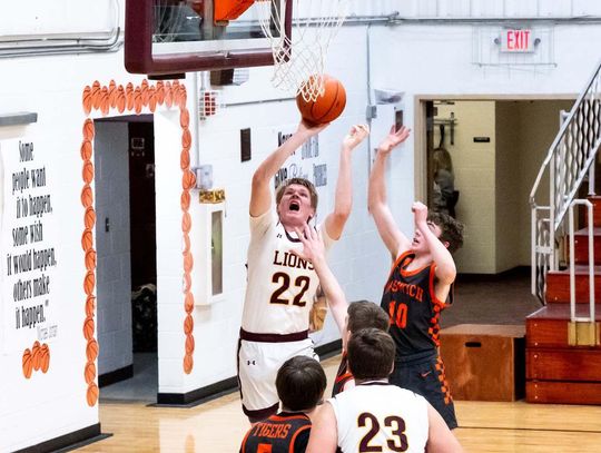 LIONS 1B RALLY FALLS SHORT