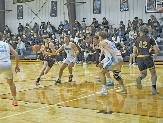 LIONS RUN INTO BUZZSAW