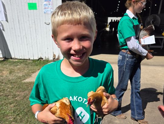 LOCAL 4-HERS TAKE PROJECTS TO STATE FAIR