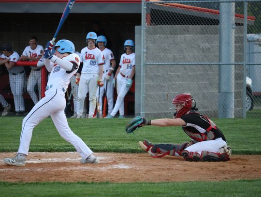 MALLARDS FALL IN REGION