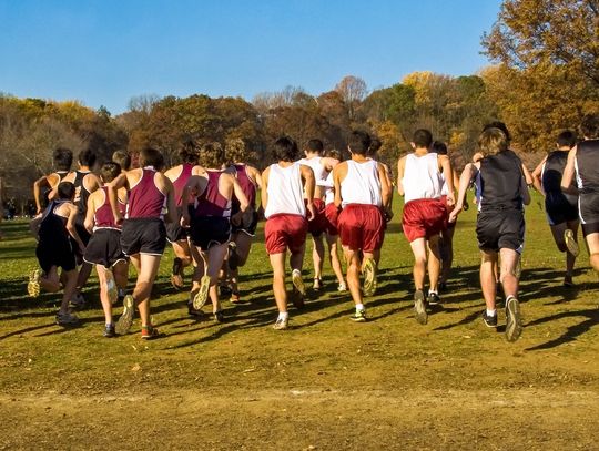 NEC, REGION ON AGENDA FOR CROSS COUNTRY SQUAD