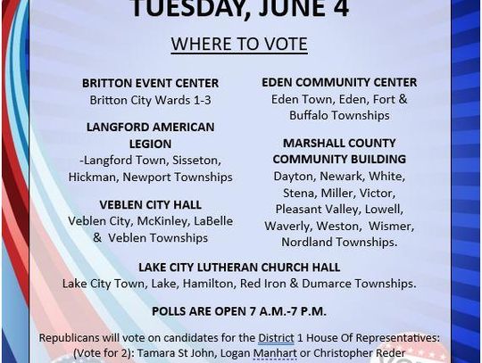 PRIMARY VOTING INFO