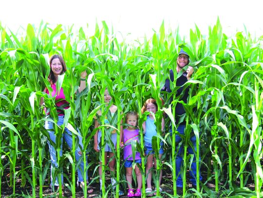 Rollercoaster Of Moisture, Nice-Looking Crops