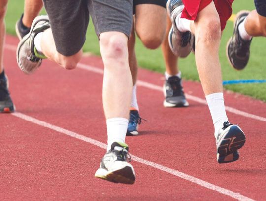 STRONG SHOWING FOR THINCLADS