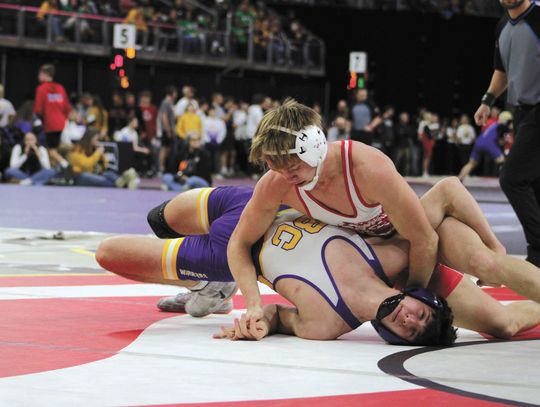 THREE BRAVES' MATMEN STATE PLACERS