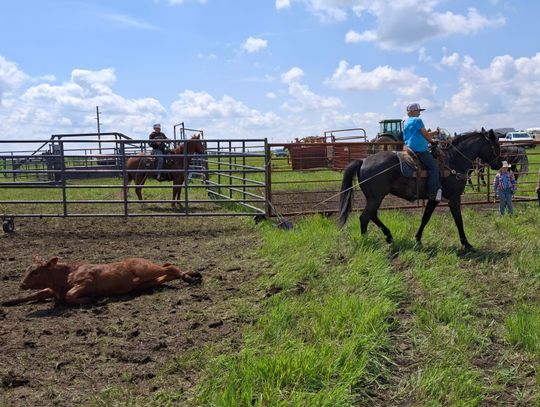 WHERE THE SADDLE STILL MATTERS