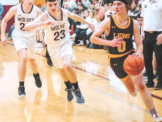 Wilmot Ends Lions’ Cage Season In 1B Play-In Tilt