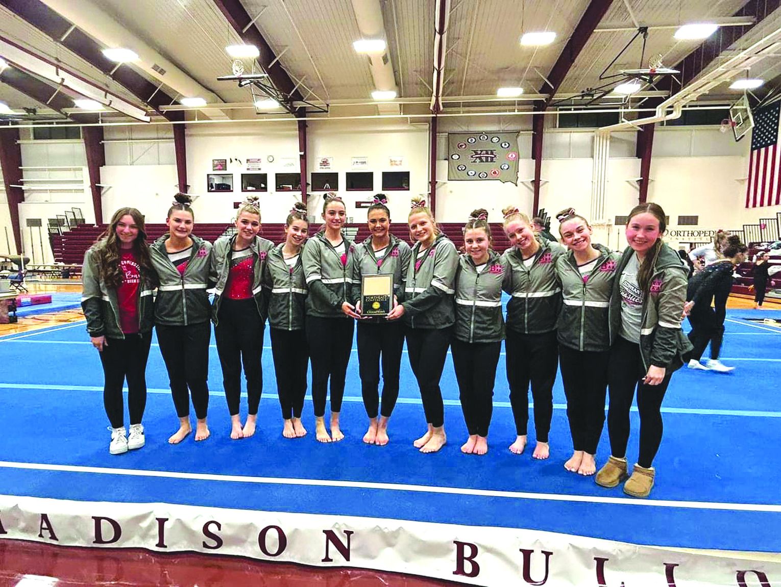 Gymnasts Claim Nec Crown