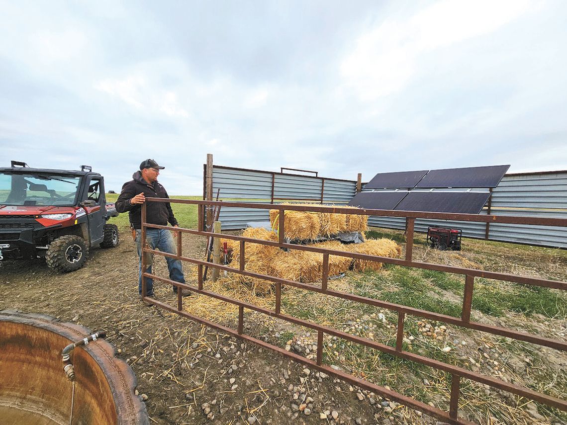 CALVING GOES HIGH TECH