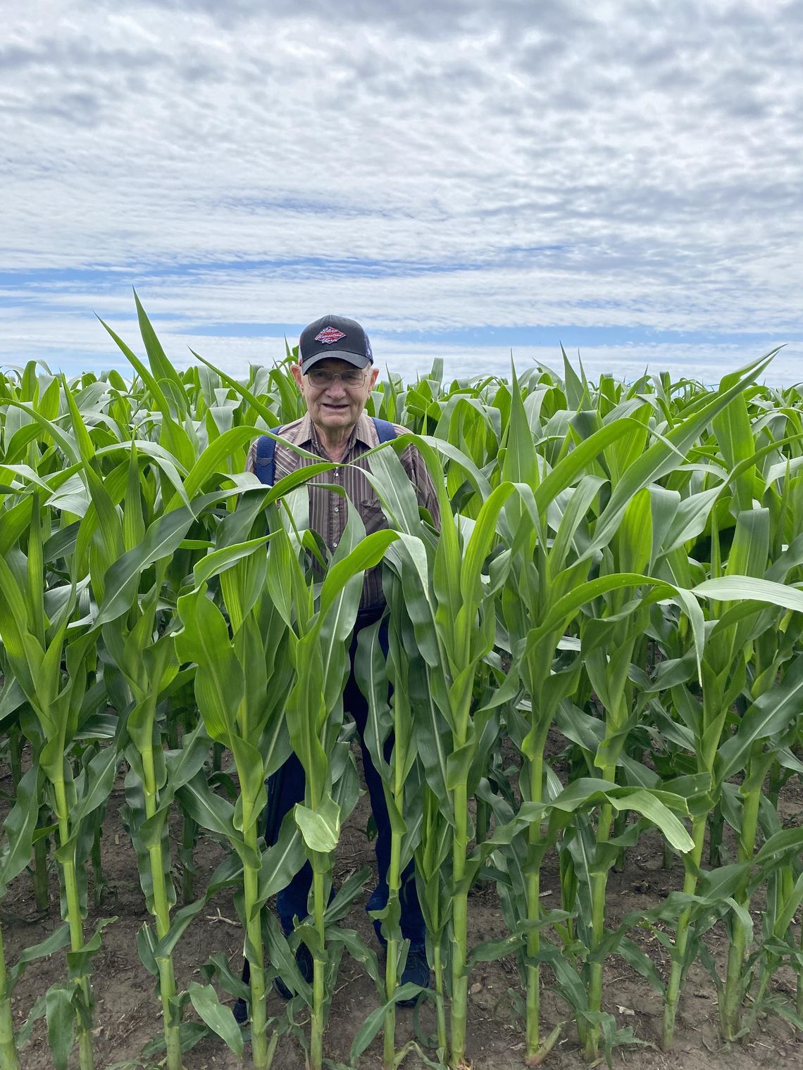 Crops Look Good But Need Hot Days