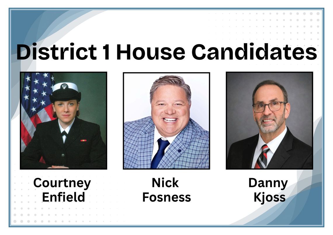 DISTRICT 1 HOUSE CANDIDATES ANSWER QUESTIONS DISTRICT 1 HOUSE CANDIDATES ANSWER QUESTIONS