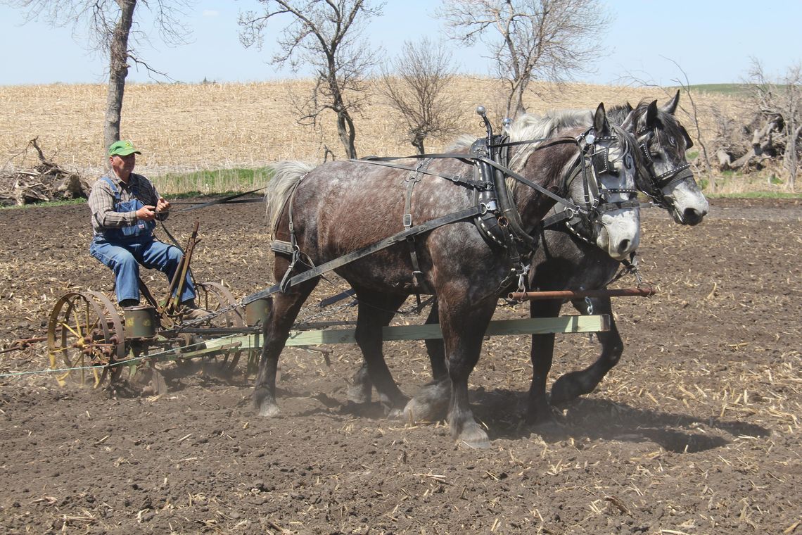 EMBRACING REINS, ROOTS AND REAL HORSEPOWER EMBRACING REINS, ROOTS AND REAL HORSEPOWER