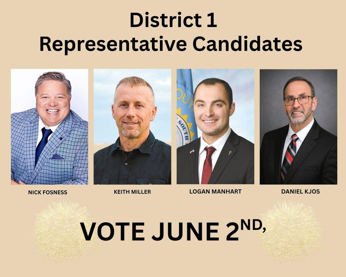 FOUR IN REPUBLICAN PRIMARY FOR D1 HOUSE FOUR IN REPUBLICAN PRIMARY FOR D1 HOUSE