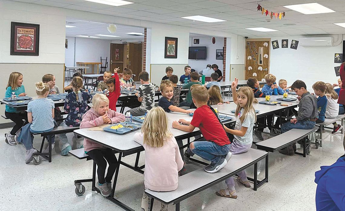 FROM PASTURE TO PLATE: LOCAL BEEF SERVED UP AT LANGFORD AREA
