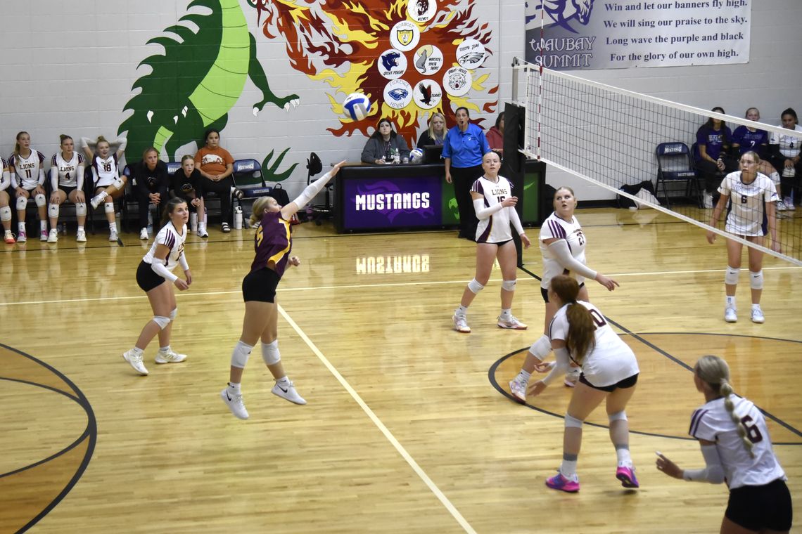LA NET SQUAD GETS TWO WINS IN THREE MATCHES LA NET SQUAD GETS TWO WINS IN THREE MATCHES