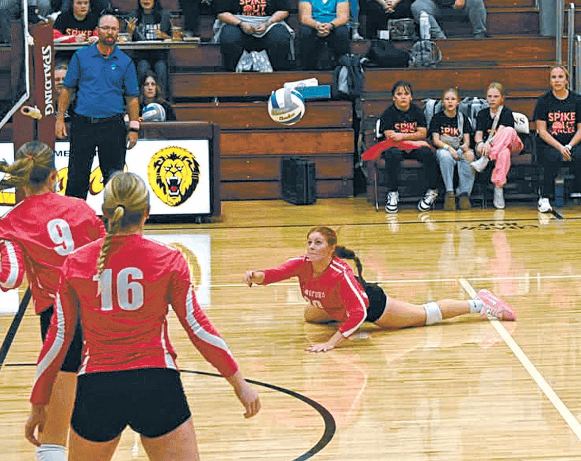 LADY LIONS BATTLE-TESTED LADY LIONS BATTLE-TESTED