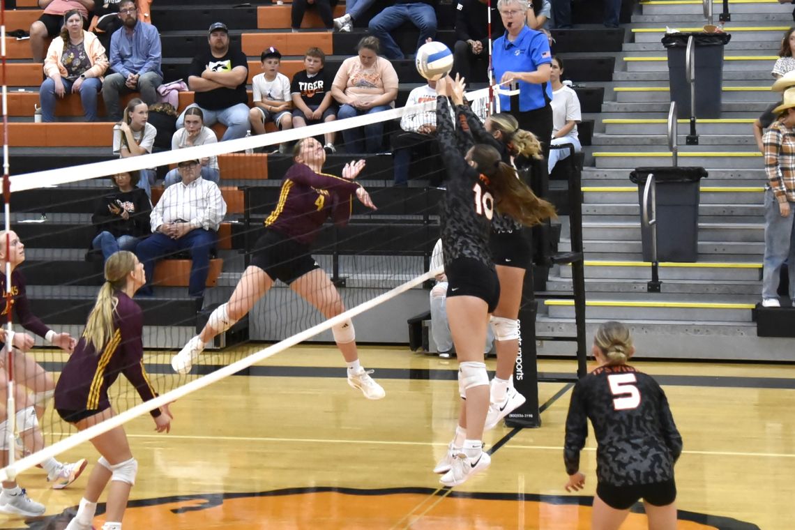 LADY LIONS SPLIT PAIR OF MATCHES IN PAST WEEK LADY LIONS SPLIT PAIR OF MATCHES IN PAST WEEK