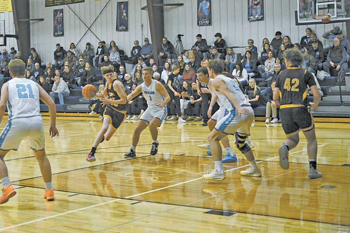 LIONS RUN INTO BUZZSAW