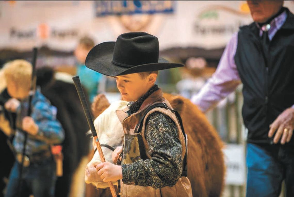 LOCAL COWBOYS WRANGLE UP STOCK SHOW FUN